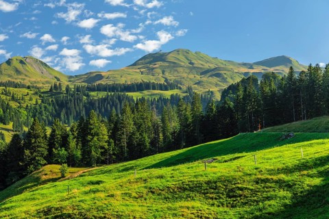 View of the Klingenstock, Fronalpstock chain, Schwyz, Switzerland, Fronalpstock, Lake Lucerne,