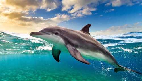 Ai generated, animal, animals, mammal, mammals, biotope, habitat, one, individual, foraging,