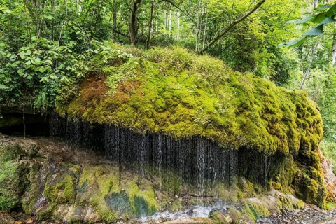 Wutach Gorge, Bonndorf, Baden-Wuerttemberg, Black Forest, Germany, Europe