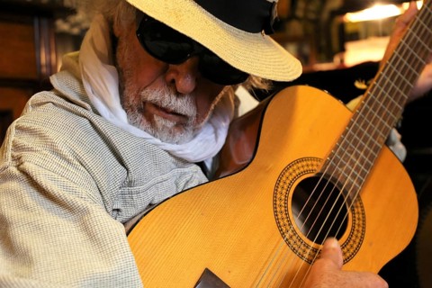 Guitar player, musician plays the guitar