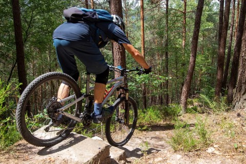 Mountain biker in the Palatinate Forest rides a difficult single trail with several steps