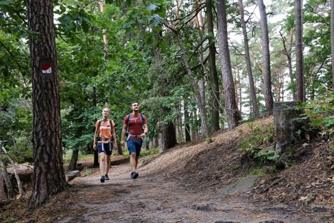 Symbolic image: Young couple hiking in the Palatinate Forest, here on the fifth stage of the