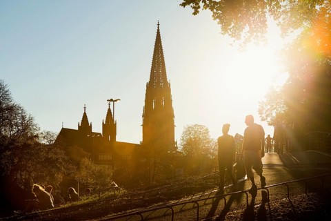 City garden with Karlssteg and Freiburg Minster, sunset, Freiburg im Breisgau, Black Forest,