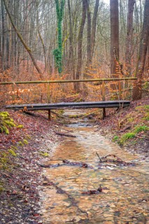 Small old wooden bridge over a stream in the Rautal valley in the forest, Jena, Thuringia, Germany,