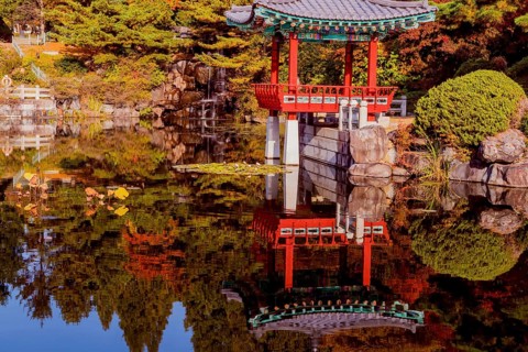 Beautiful oriental gazebo with terracotta tile roof at edge of man made pond with small waterfall