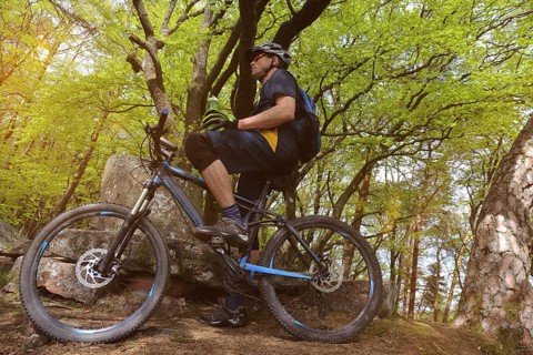 Mountain biker in the Palatinate Forest near the Hohe Loog above Neustadt an der Weinstrasse