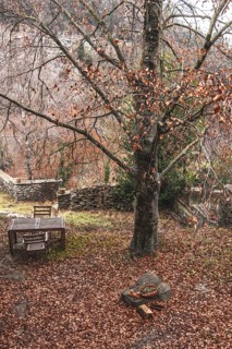 Garden in the medieval town of Rupit in Catalonia Spain