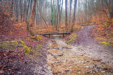 Small old wooden bridge over a stream in the Rautal valley in the forest, Jena, Thuringia, Germany,