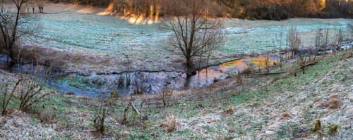 Stream in a frosty valley, Thuisbrunn, Upper Franconia, Bavaria, Germany, Europe