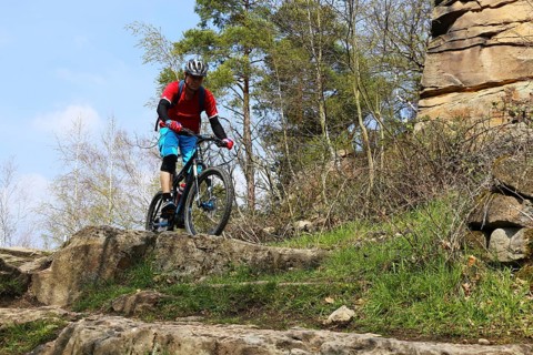 Mountain biker in difficult terrain in the Palatinate Forest near Wolfsburg