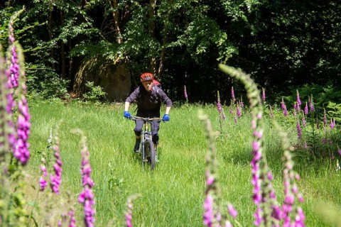 Mountain bikers on tour in the Pfaelzerwald mountain bike park near Dahn