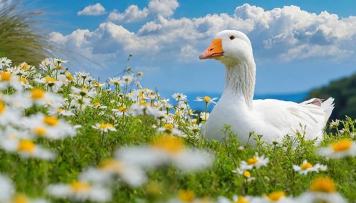 AI generated, animal, animals, bird, birds, biotope, habitat, one, individual, foraging, wildlife,