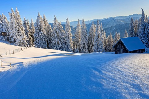 Hut in front of trees in snowy mountain landscape, winter, Hoernle, Ammergau Alps, Upper Bavaria,