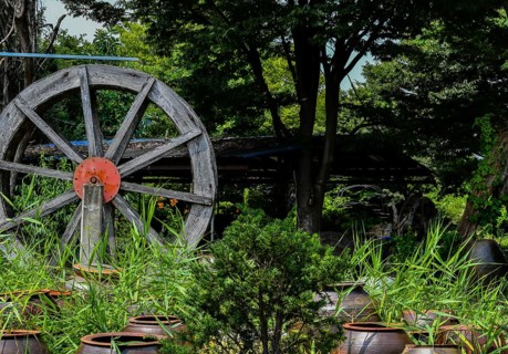 Wooden waterwheel in beautiful garden behind rows of fermentation jars in South Korea