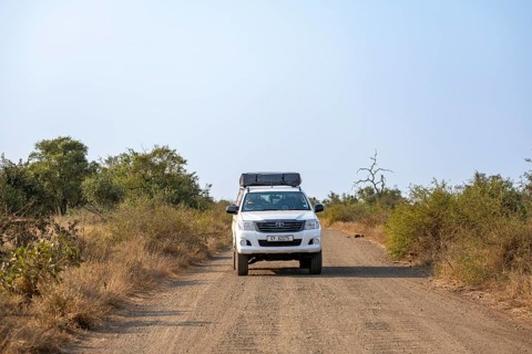 Toyota Hilux off-road vehicle with roof tent on a dirt road, African savannah, Kruger National