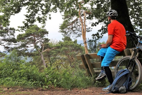 Mountain biker taking a break on a bench in the Palatinate Forest near the Weinbiet above Neustadt