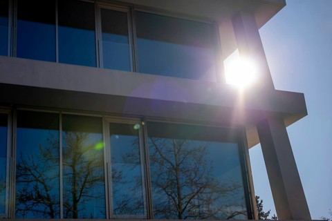Modern Design Building with Tree Reflection and Against Clear Blue Sky and Sunlight with Lens Flare