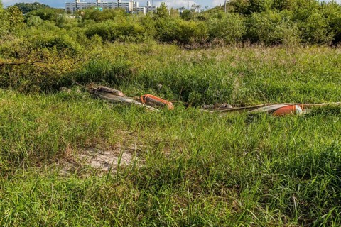 Debris laying in tall grass after flooding caused by monsoon rains with apartment buildings in