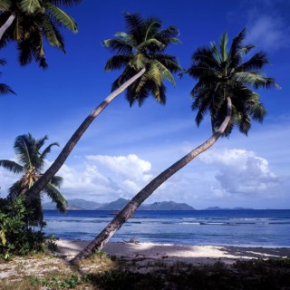 Anse Servere beach, La Digue, Seychelles, Africa