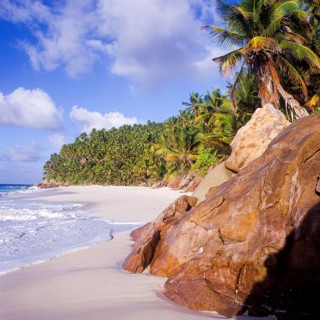 Seychelles, Fregate, blue water and palm trees on the white sandy beach of Anse Victorin, Africa