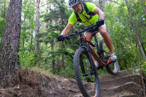 Mountain biker riding steps on a single trail near Weinbiet in the Palatinate Forest, Germany,