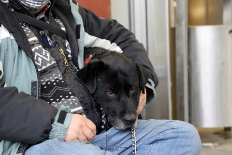 Mannheim, December 2020: Homeless in times of corona. The coronavirus pandemic is exacerbating the