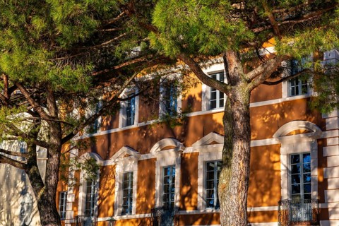 Old Beautiful Town with Shadows on Building and Trees in a Sunny Day in Morcote, Ticino,