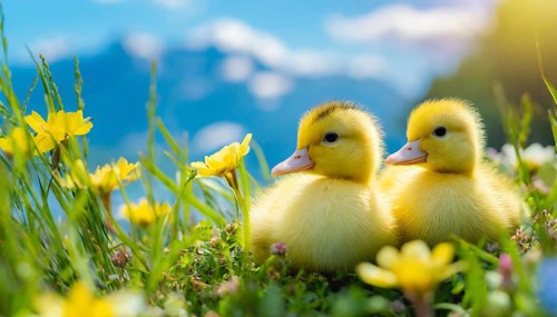 KI generated, animal, animals, bird, birds, biotope, habitat, one, single animal, foraging,