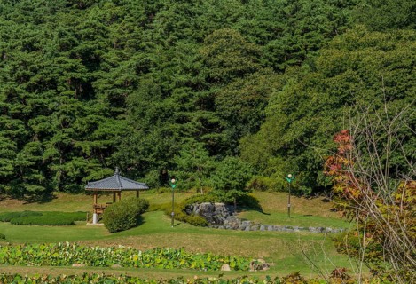 Looking down on oriental gazebo with ceramic tile roof in beautiful woodland park in South Korea
