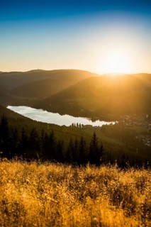 View from Hochfirst to Titisee and Feldberg, sunset, near Neustadt, Black Forest,