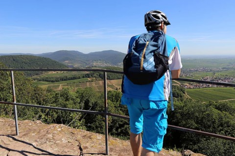 Mountain bikers on the viewing platform of the Neukastel castle ruins above Leinsweiler, Suedliche