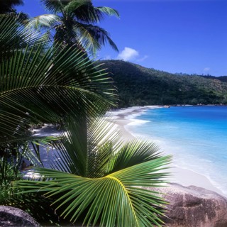 Seychelles, Praslin, Anse Lazio beach, Africa
