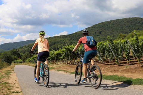 Symbolic image: Young couple on a bike tour in the vineyards, here in the Palatinate near Neustadt
