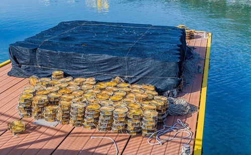 Round lobster traps stacked on floating dock at ocean port in Yeosu, South Korea, Asia