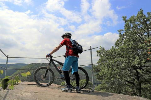 Mountain biker enjoys the view of the Palatinate Forest above Neustadt an der Weinstrasse