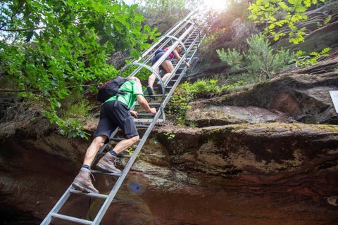 Hikers on the ladder to the Huehnerstein . The Huehnerstein is a sandstone rock in the Palatinate