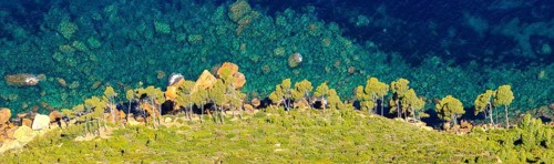 View from Cap Canaille to the green pines and the blue water of the bay, Provence, France, Europe