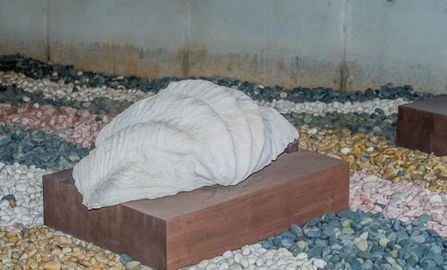 Large clam shell displayed on wooden plinth at maritime museum in Yeosu, South Korea, Asia