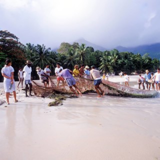 Seychelles, Mahe, Beau Vallon, fishermen pull fishing net ashore, Africa