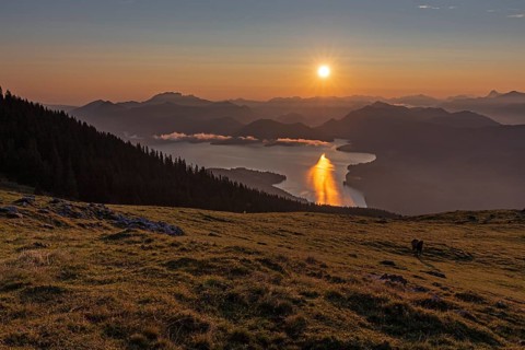 Sunrise over mountain lake and mountains, alpine meadow, horse, backlight, summer, view from