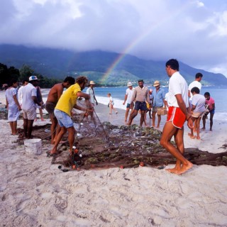Seychelles, Mahe, Beau Vallon, fishermen pull fishing net ashore, Africa