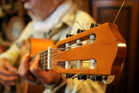 Guitar player, musician plays the guitar