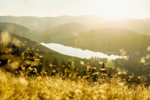 View from Hochfirst to Titisee and Feldberg, sunset, near Neustadt, Black Forest,