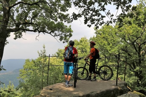 Mountain bikers enjoy the view in the Palatinate Forest above Neustadt an der Weinstrasse