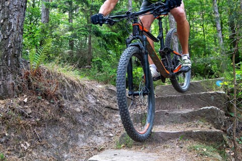 Mountain biker riding steps on a single trail near Weinbiet in the Palatinate Forest, Germany,