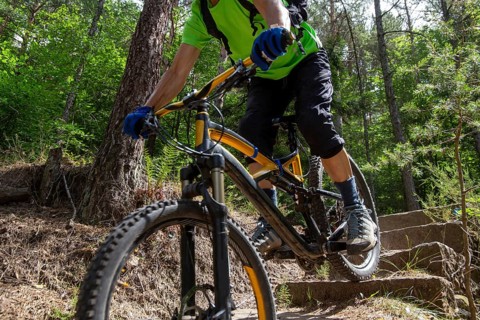 Mountain biker in the Palatinate Forest rides a difficult single trail with several steps