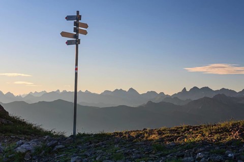 Signpost in front of mountains, hiking trail, summer, morning light, Hoher Ifen, Allgaeu Alps,