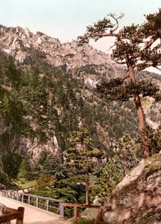 Entrance to Hoellental in Lower Austria, a narrow valley crossed by the Schwarza river between the