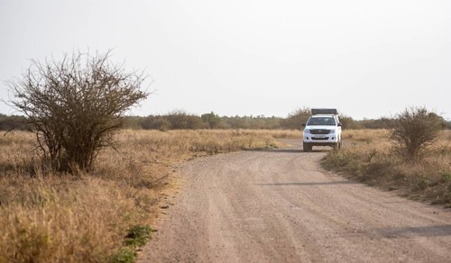 Toyota Hilux off-road vehicle with roof tent on a dirt road, African savannah, Kruger National