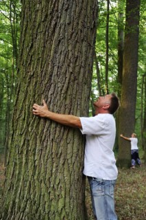 Group forest bathing (Shinrin Yoku), nature therapy from Japan